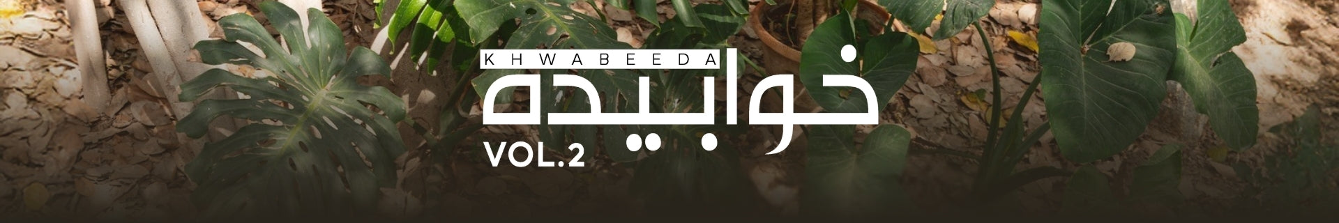 Khwabeeda Vol.2
